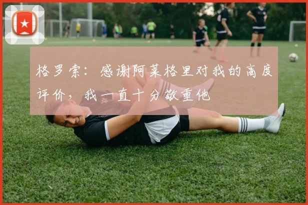 格罗索：感谢阿莱格里对我的高度评价，我一直十分敬重他