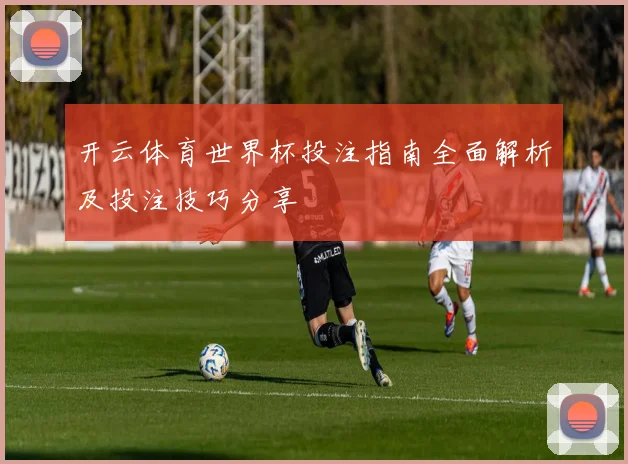 开云体育世界杯投注指南全面解析及投注技巧分享