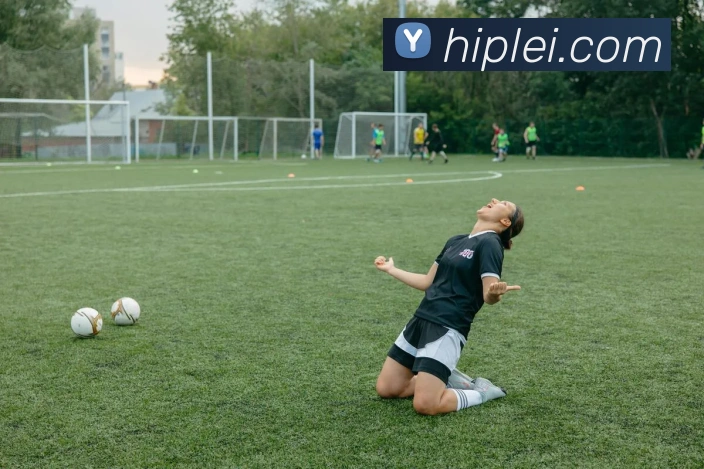 开云app平台生态图